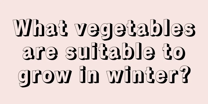 What vegetables are suitable to grow in winter?