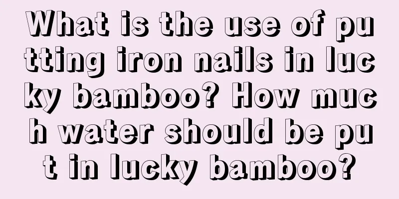 What is the use of putting iron nails in lucky bamboo? How much water should be put in lucky bamboo?