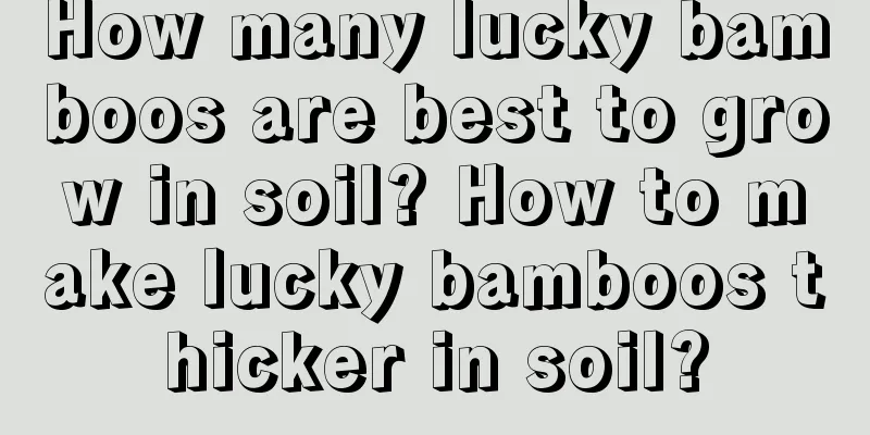 How many lucky bamboos are best to grow in soil? How to make lucky bamboos thicker in soil?