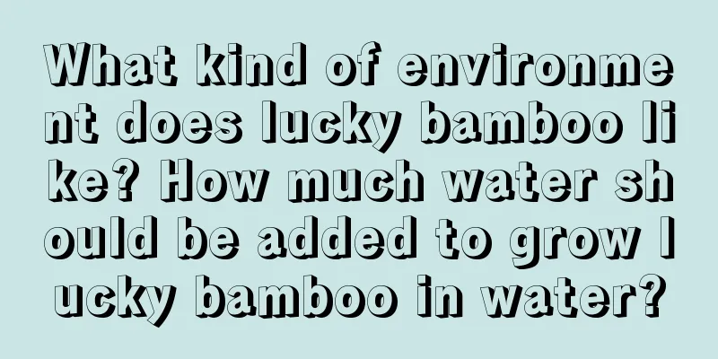 What kind of environment does lucky bamboo like? How much water should be added to grow lucky bamboo in water?