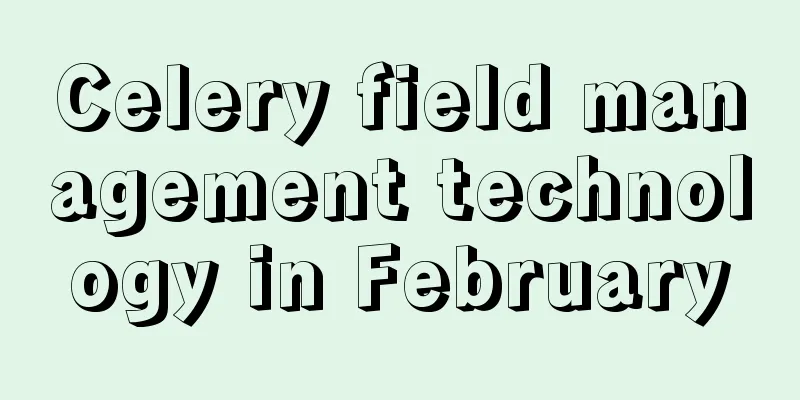 Celery field management technology in February