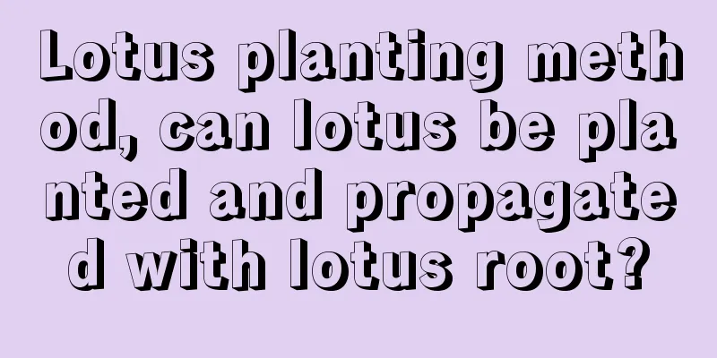 Lotus planting method, can lotus be planted and propagated with lotus root?