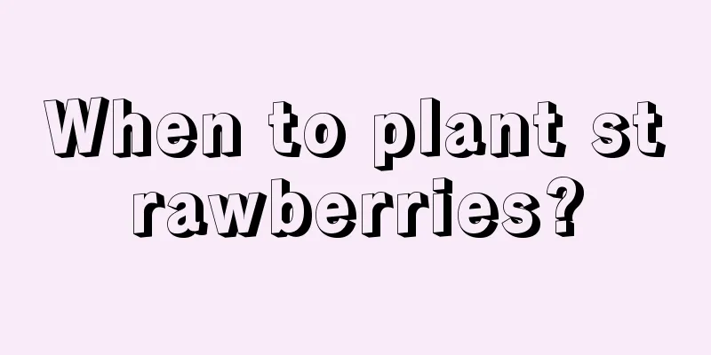 When to plant strawberries?