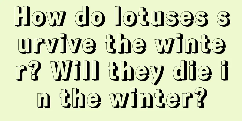 How do lotuses survive the winter? Will they die in the winter?