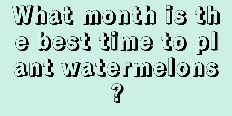 What month is the best time to plant watermelons?