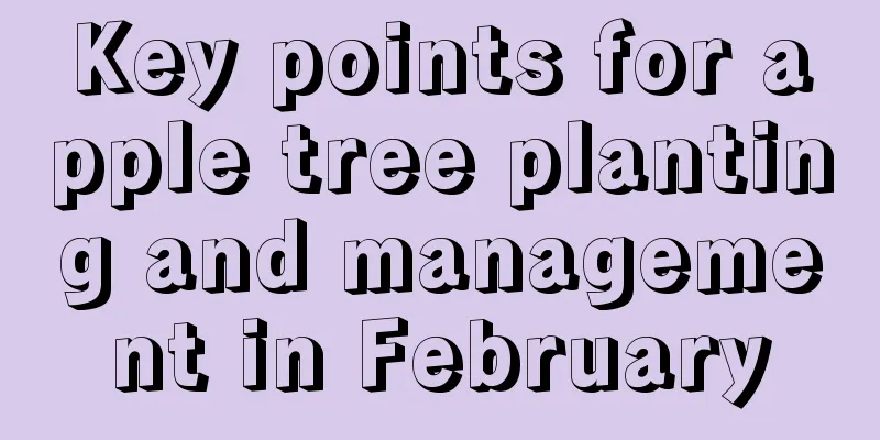 Key points for apple tree planting and management in February