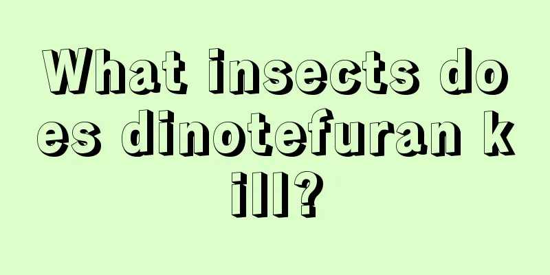 What insects does dinotefuran kill?