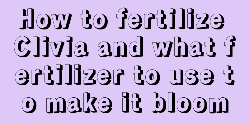 How to fertilize Clivia and what fertilizer to use to make it bloom