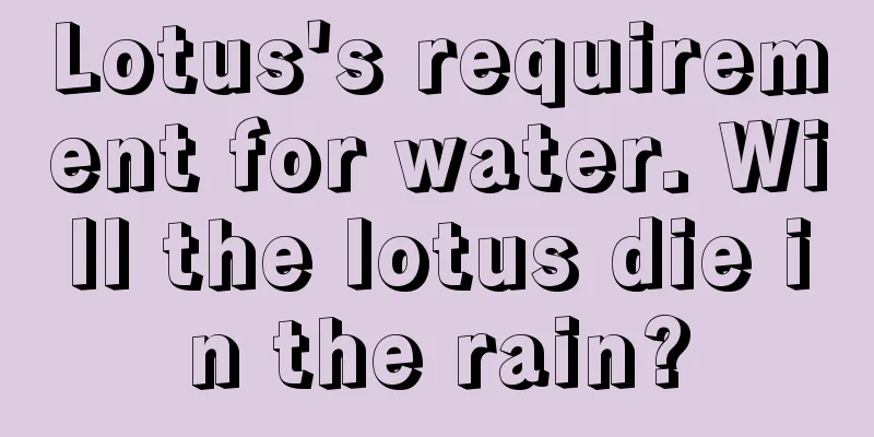 Lotus's requirement for water. Will the lotus die in the rain?