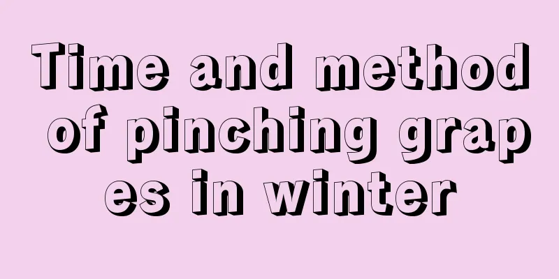 Time and method of pinching grapes in winter