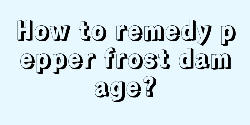 How to remedy pepper frost damage?