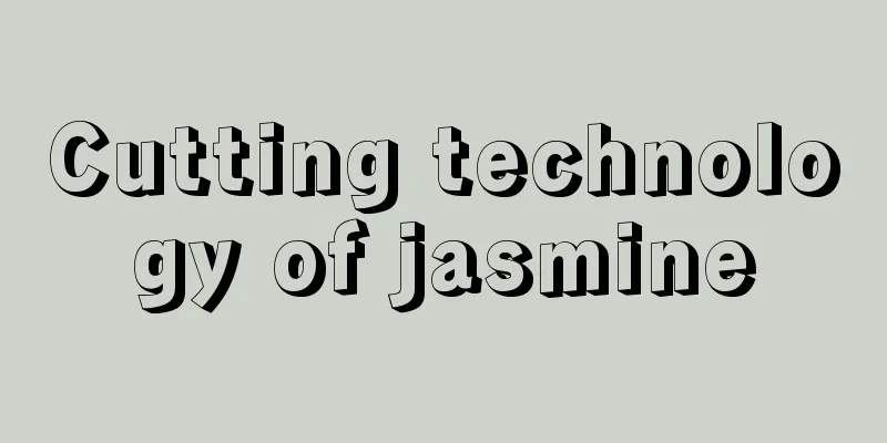 Cutting technology of jasmine