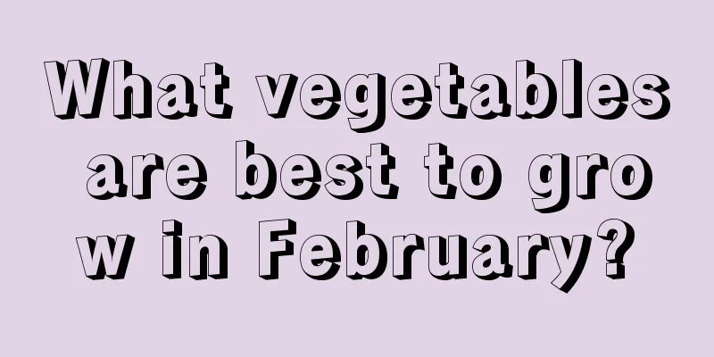 What vegetables are best to grow in February?