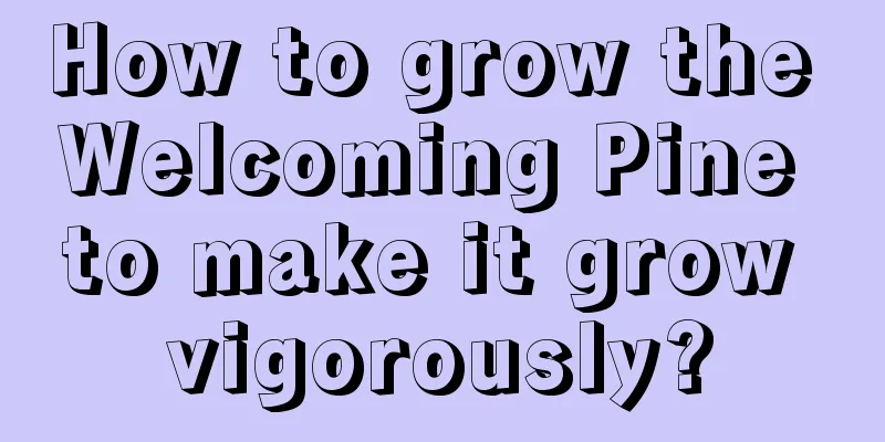 How to grow the Welcoming Pine to make it grow vigorously?