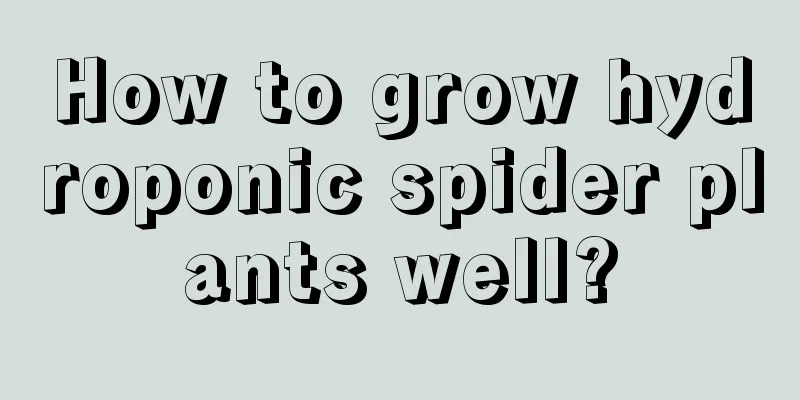 How to grow hydroponic spider plants well?