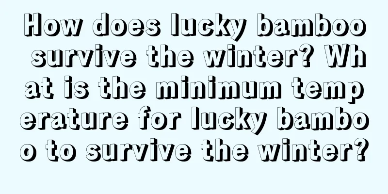 How does lucky bamboo survive the winter? What is the minimum temperature for lucky bamboo to survive the winter?