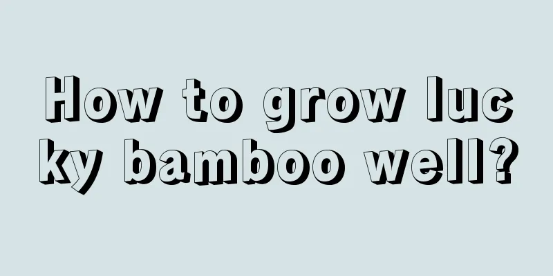 How to grow lucky bamboo well?