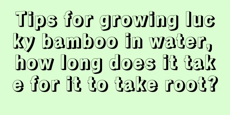 Tips for growing lucky bamboo in water, how long does it take for it to take root?