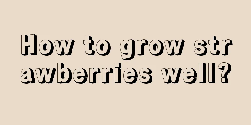 How to grow strawberries well?