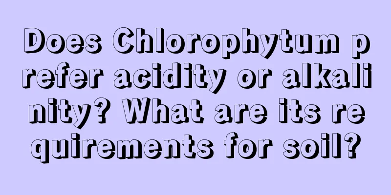 Does Chlorophytum prefer acidity or alkalinity? What are its requirements for soil?