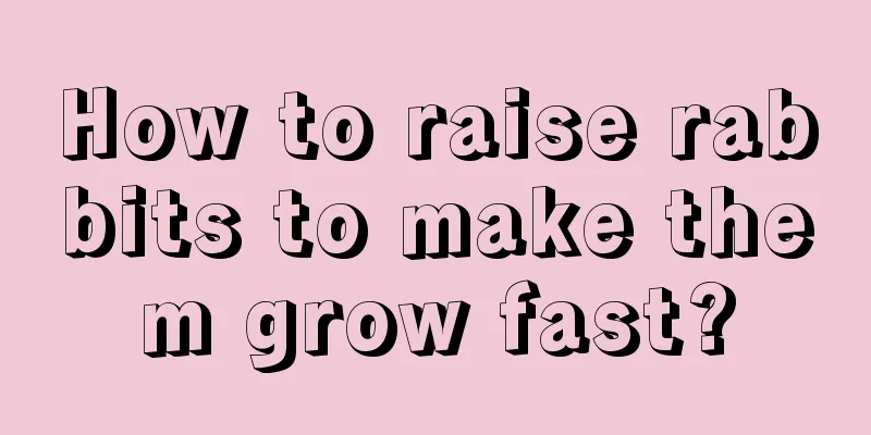 How to raise rabbits to make them grow fast?