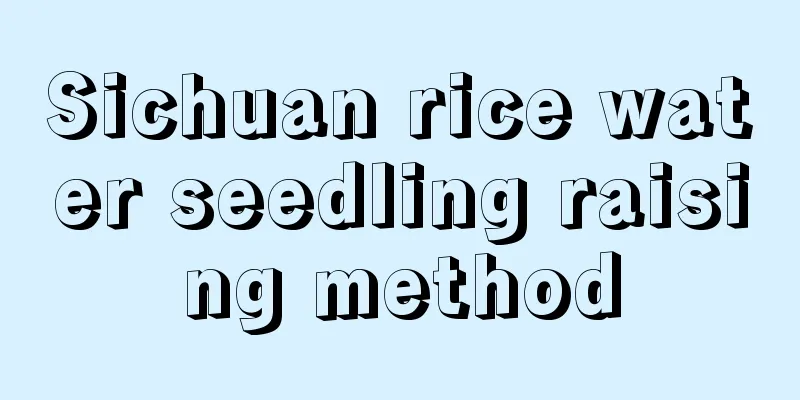 Sichuan rice water seedling raising method