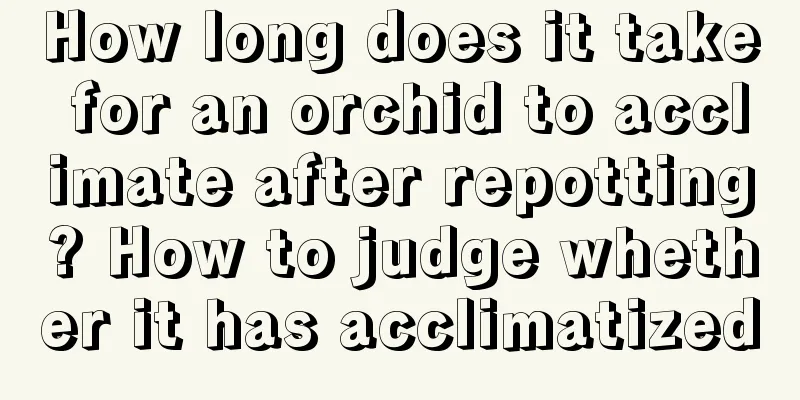 How long does it take for an orchid to acclimate after repotting? How to judge whether it has acclimatized