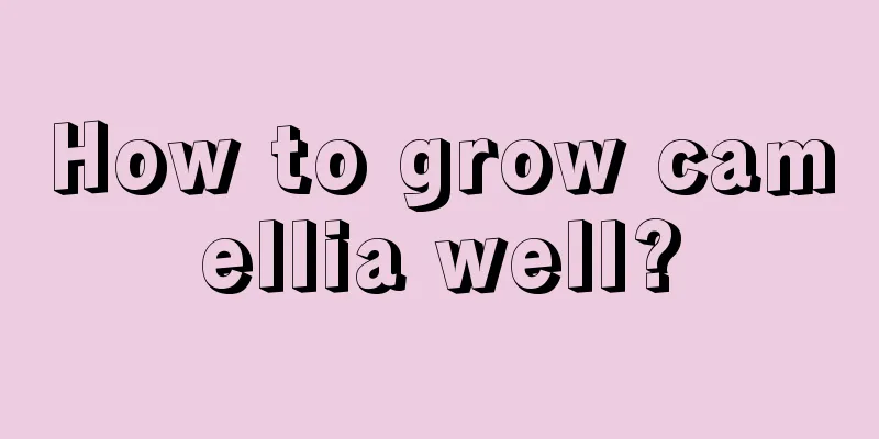 How to grow camellia well?