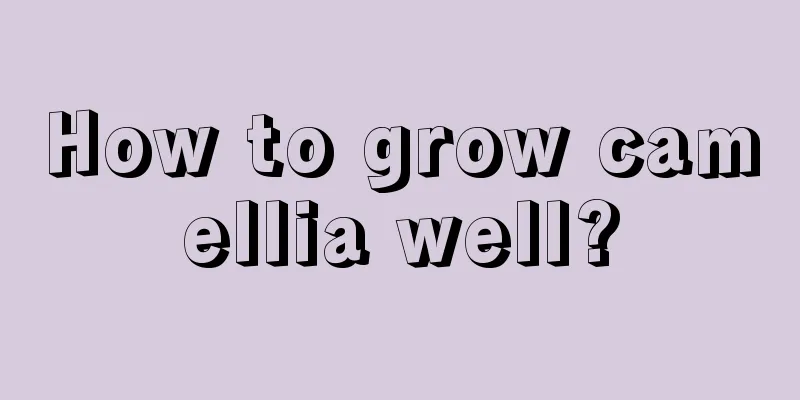 How to grow camellia well?