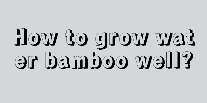 How to grow water bamboo well?