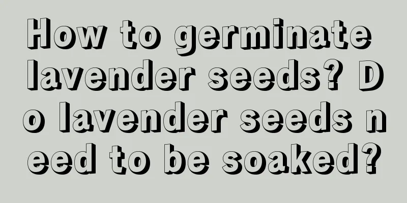 How to germinate lavender seeds? Do lavender seeds need to be soaked?