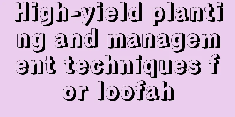 High-yield planting and management techniques for loofah