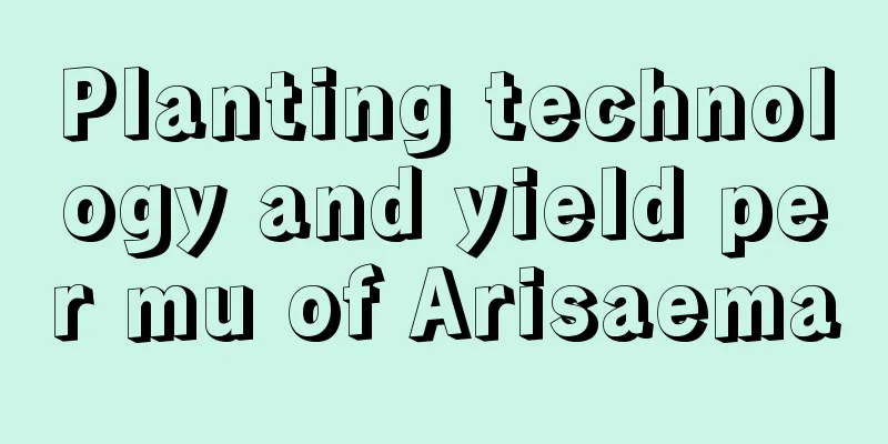 Planting technology and yield per mu of Arisaema