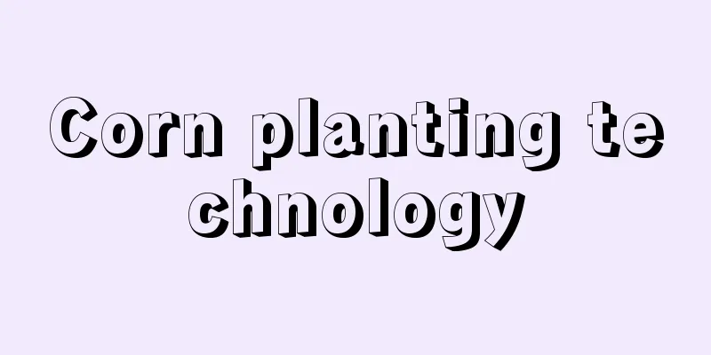 Corn planting technology