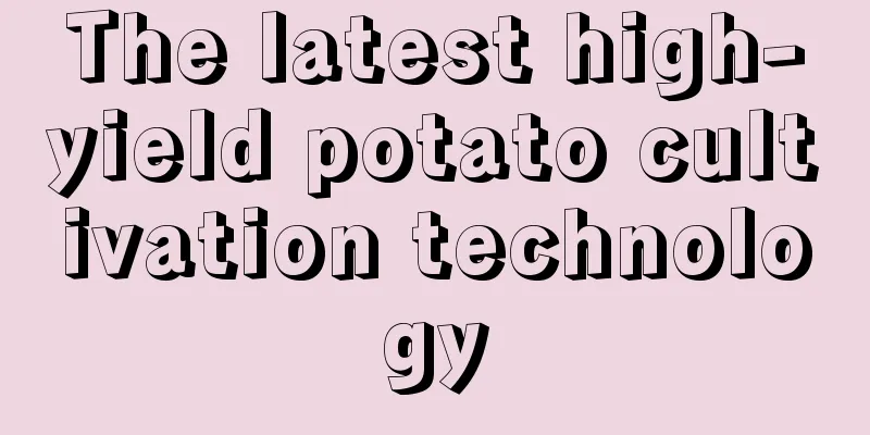 The latest high-yield potato cultivation technology