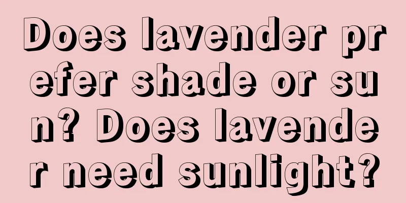 Does lavender prefer shade or sun? Does lavender need sunlight?