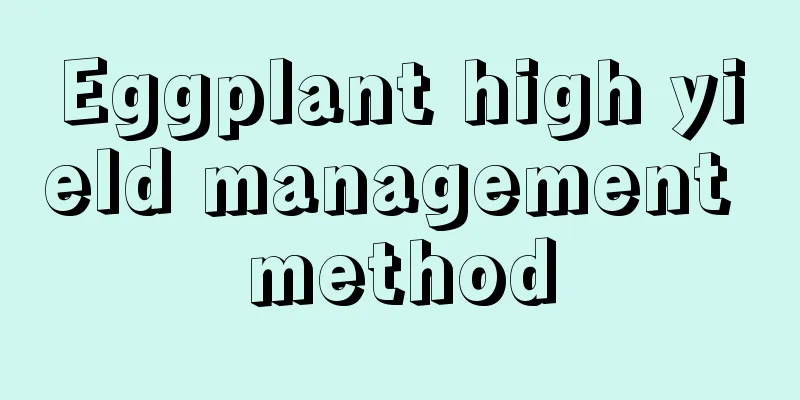 Eggplant high yield management method