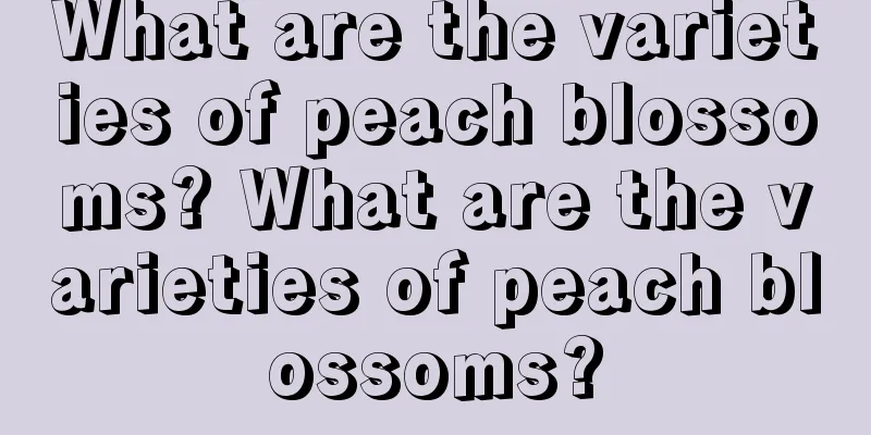 What are the varieties of peach blossoms? What are the varieties of peach blossoms?