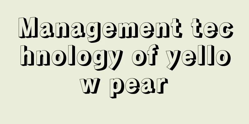 Management technology of yellow pear