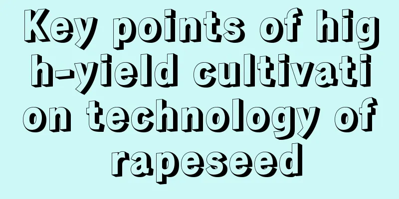 Key points of high-yield cultivation technology of rapeseed