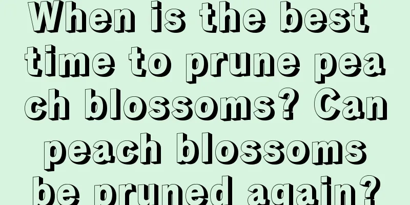 When is the best time to prune peach blossoms? Can peach blossoms be pruned again?