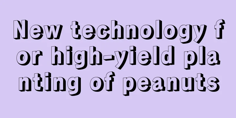 New technology for high-yield planting of peanuts