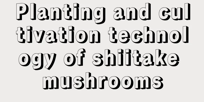 Planting and cultivation technology of shiitake mushrooms