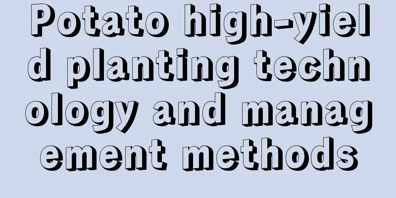 Potato high-yield planting technology and management methods