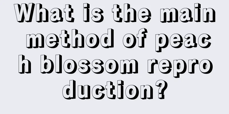 What is the main method of peach blossom reproduction?