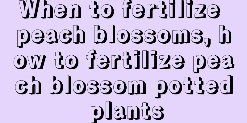 When to fertilize peach blossoms, how to fertilize peach blossom potted plants