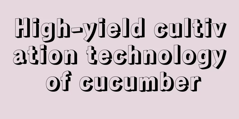 High-yield cultivation technology of cucumber