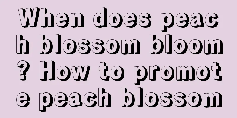 When does peach blossom bloom? How to promote peach blossom