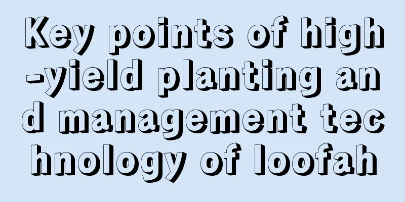 Key points of high-yield planting and management technology of loofah