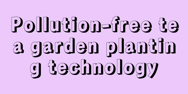 Pollution-free tea garden planting technology